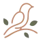Začasni logotip Naravno zdravilo